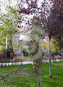 Park near lake - Arad city, Romania