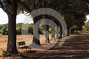 The park near the palace of Falkenlust. The Falkenlust palaces is a historical building complex in BrÃÂ¼hl