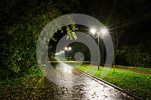 Park night lanterns lamps: a view of a alley walkway, pathway in a park with trees and dark sky as a background at an summer eveni