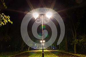 Park night lanterns lamps: a view of a alley walkway, pathway in a park with trees and dark sky as a background at an summer eveni