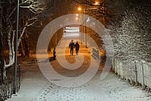 Park at night, Trees and road in the snow. In the distance silhouette of a couple walking people