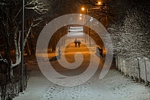 Park at night, Trees and road in the snow. In the distance silhouette of a couple walking people