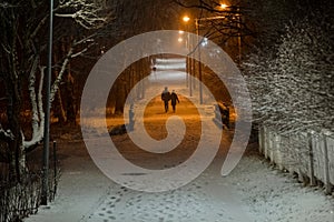 Park at night, Trees and road in the snow. In the distance silhouette of a couple walking people