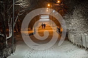 Park at night, Trees and road in the snow. In the distance silhouette of a couple walking people