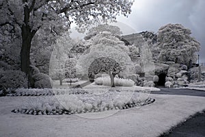 Park at Nottingham Castle
