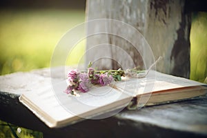 In the Park on an old bench lies a open book with which lies a bouquet of clover flowers