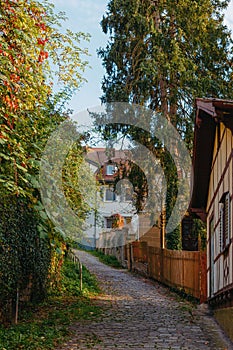 Park and Old Fachwerk houses in Germany. Scenic view of ancient medieval urban street architecture with half-timbered