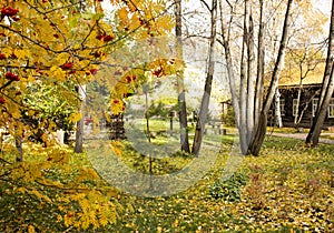 Park in an old manor, autumn landscape