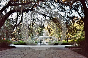 Park in the Old Town of Savannah, Georgia