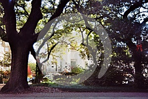 Park in the Old Town of Savannah, Georgia