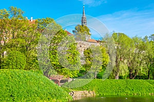 Park and old town. Tallinn, Estonia