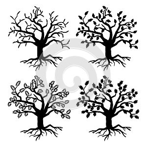 Park old trees. Vector tree silhouettes with roots and leaves