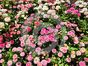 Park Oliwski GdaÃâsk