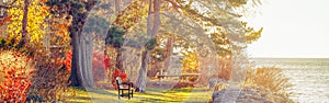 Park with one lonely old bench on bank shore near water lake. Web header banner for website