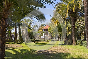 A Park with palm trees and a Villa in the subtropics