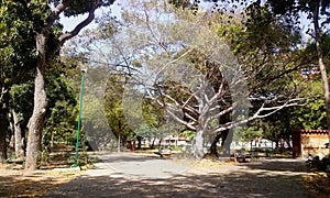 Park parque bonito ambiente paisaje