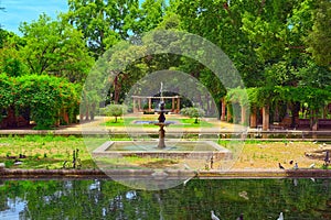 Park Parque de Maria Luisa near the Plaza of Spain in Seville. photo