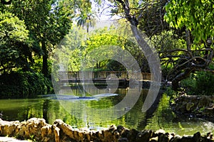 The Park Parque de Maria Luisa, Seville photo
