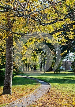 Park with a path