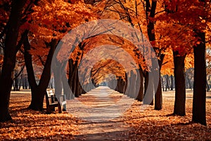 park path during the autumn season. It features a tranquil walkway flanked by rusty autumn trees on each side.