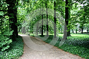 Park path and bench