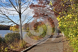 Park path beside lake