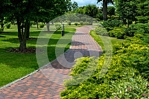 Park path paved with brick stone tiles in backyard garden among plants.