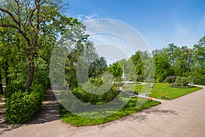 Scenic nature landscape of path through park