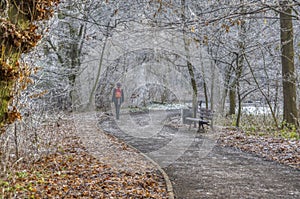 Park paths in early winter