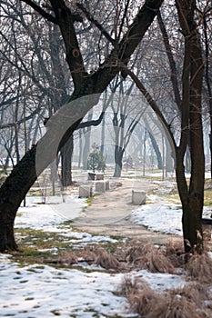 Park paths