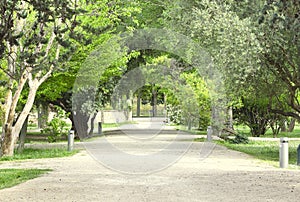 Park pathway