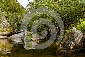 Park of the Pedriza. Madrid`s community. Madrid. Spain