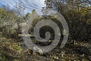 Park of the Pedriza. Madrid`s community. Madrid. Spain