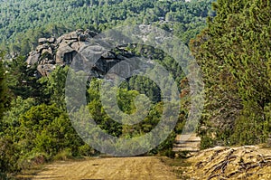 Park of the Pedriza. Madrid`s community. Madrid. Spain