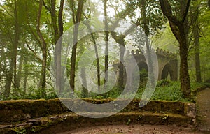 Park of the Pena Palace, the fabulous alley in foggy weather