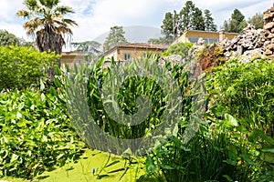 Park in a Pitti Palace or Palazzo Pitti in Florence, Italy