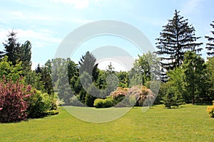 Park place with green grass and trees