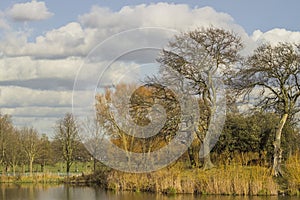 Park and pond of Clapham common in London photo