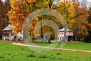 Park Racconigi at autumn.