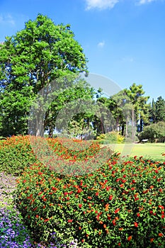 Park Ramat Hanadiv, Memorial Gardens of Baron Edmond de Rothschild