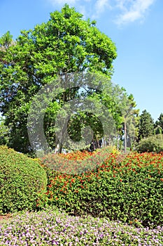 Park Ramat Hanadiv, Memorial Gardens of Baron Edmond de Rothschild