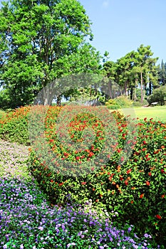 Park Ramat Hanadiv, Memorial Gardens of Baron Edmond de Rothschild