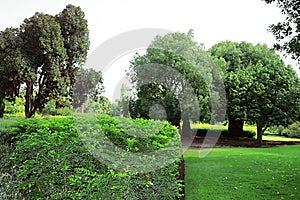 Park Ramat Hanadiv, Memorial Gardens of Baron Edmond de Rothschild, Zichron Yaakov, Israel