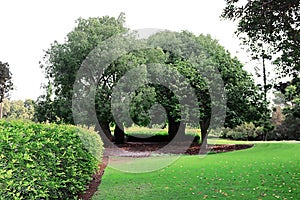 Park Ramat Hanadiv, Memorial Gardens of Baron Edmond de Rothschild, Zichron Yaakov, Israel