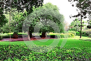 Park Ramat Hanadiv, Memorial Gardens of Baron Edmond de Rothschild, Zichron Yaakov, Israel