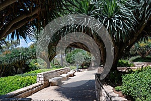 Park Ramat Hanadiv, Memorial Gardens of Baron Edmond de Rothschild, Zichron Yaakov, Israel