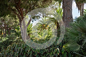 Park Ramat Hanadiv, Memorial Gardens of Baron Edmond de Rothschild, Zichron Yaakov, Israel