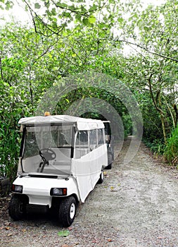Park ranger vehicle in nature reserve
