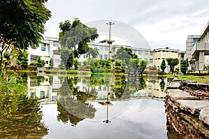 Park reflection in rain water. awesome outlook and peace of nature