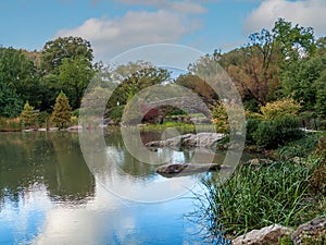 Park Reflections